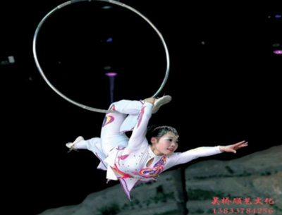 吊環(huán)